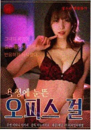 剧集片种标本《纸灯街十七号》条目图，标注档期与评分区间