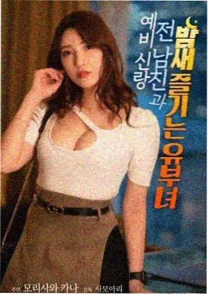 电影片种标本《雪线以南》条目图，标注片种与上映年份